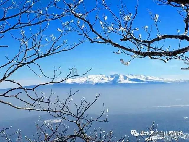 泡弹学院