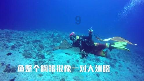 被困的狮王逃生3
